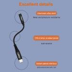 Hippo Type C To Aux 3.5mm Audio Metal Jack HPO-C21